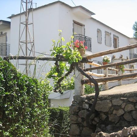 Alojamiento Rural Mirador Del Avellano Alpujarra De La Sierra Exteriör bild