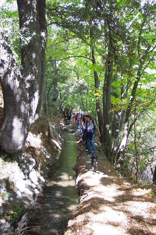 Alojamiento Rural Mirador Del Avellano Alpujarra De La Sierra Exteriör bild