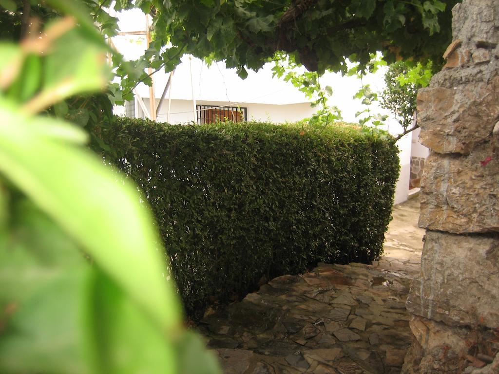 Alojamiento Rural Mirador Del Avellano Alpujarra De La Sierra Exteriör bild